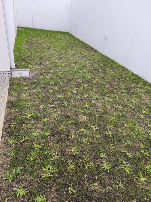 Serviços jardinagem