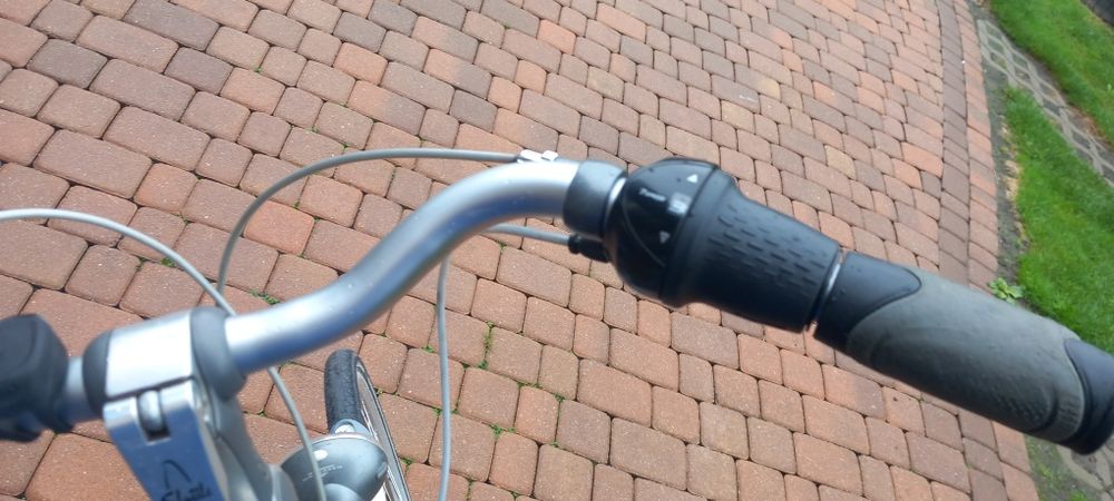 Rower damka gazelle