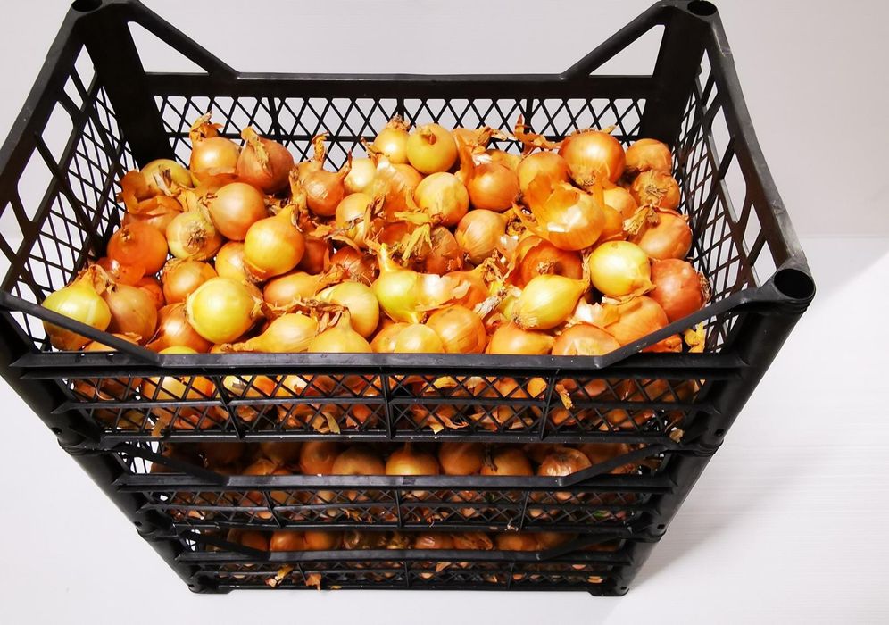 Sprzedam skrzynki  organizery narzędzia owoce pudełka skrzynki