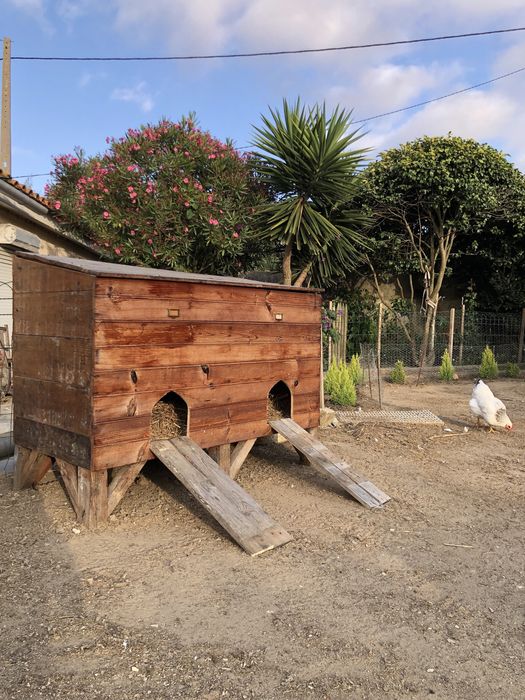 Capoeiras de madeira para aves