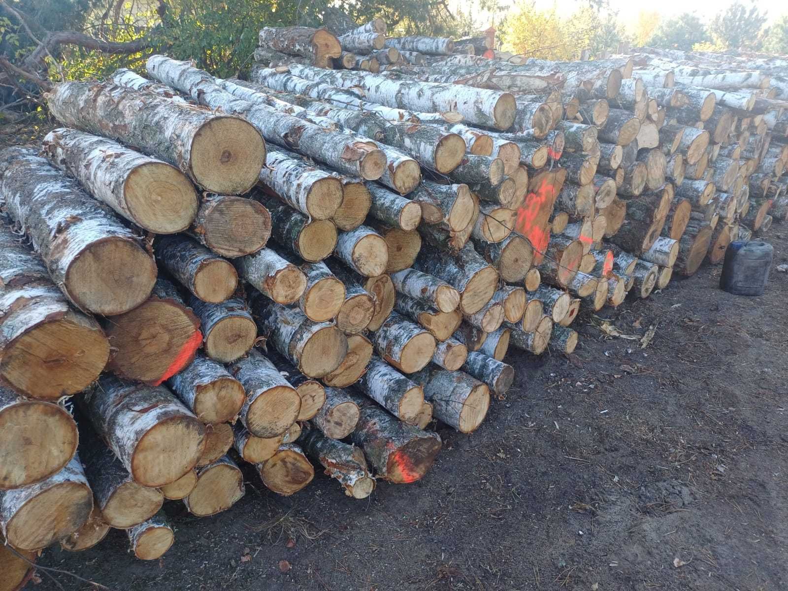 Drewno kominkowe i opałowe