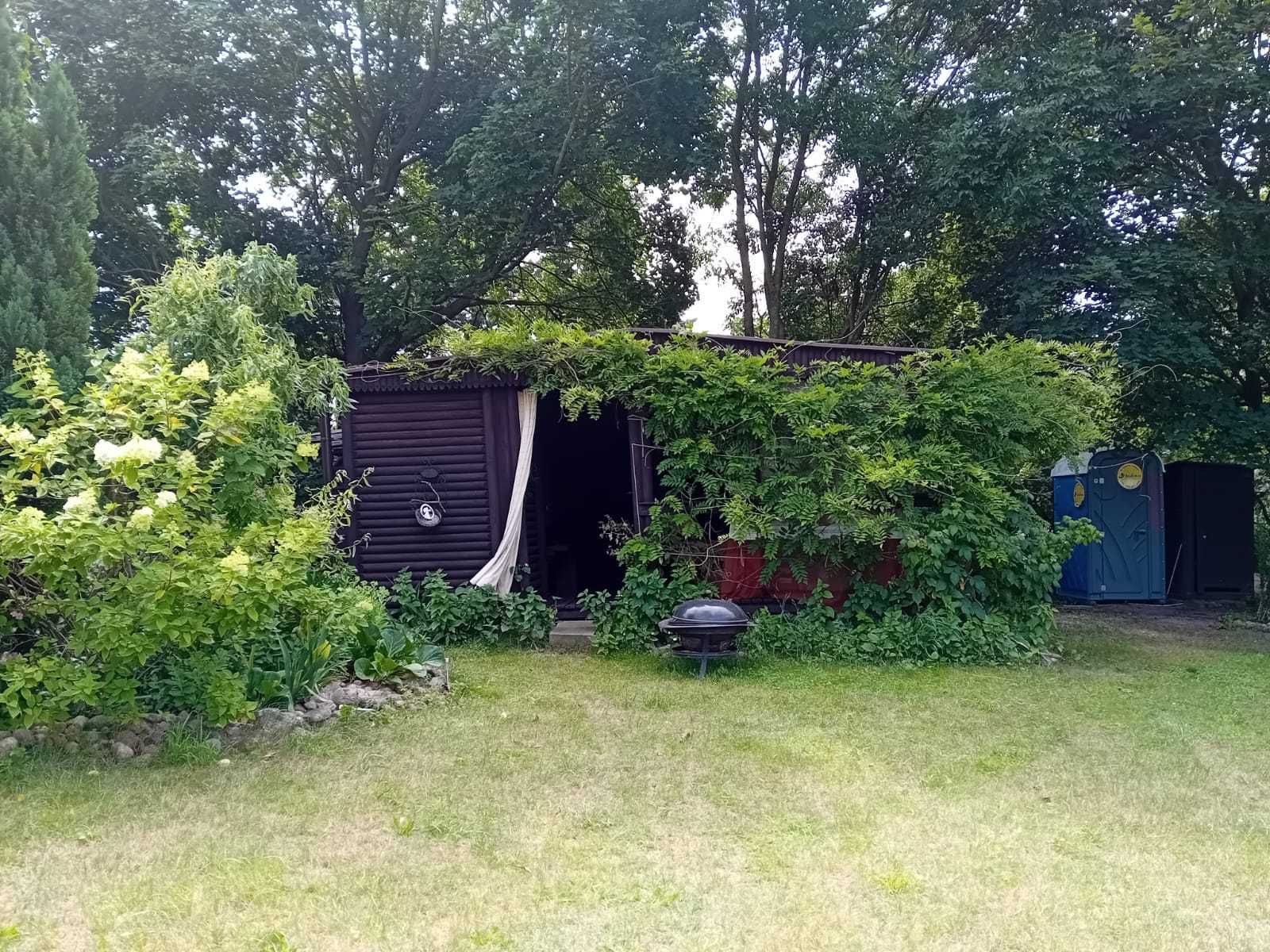 Domki nad jeziorem Ostrowo koło Przyjezierza. Oaza pod aniołem