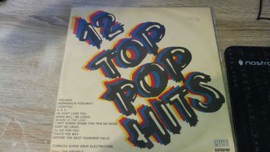 12 Top pop hits - Płyta Vinylowa