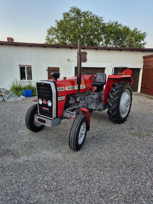 URSUS MF 255 Stan bdb.