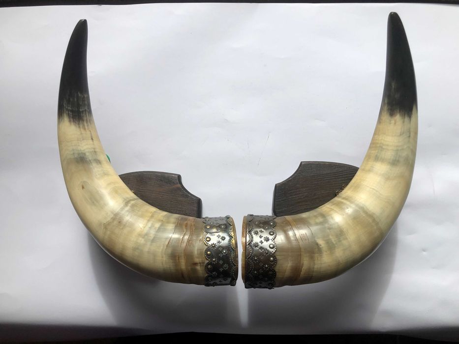 Kinkiety z rogów bawolich – komplet dekoracyjny, vintage