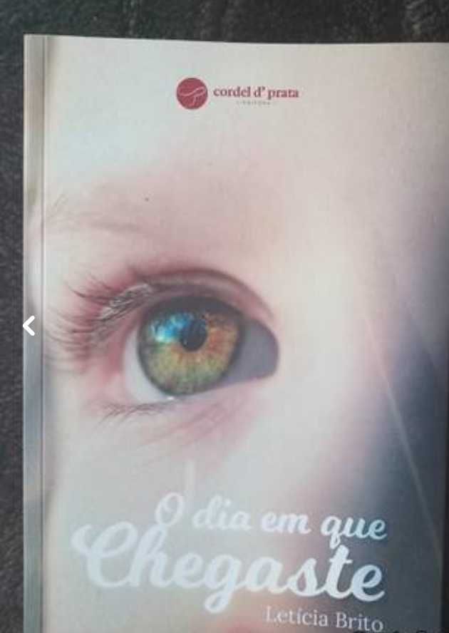 Livro "o dia em que chegaste"