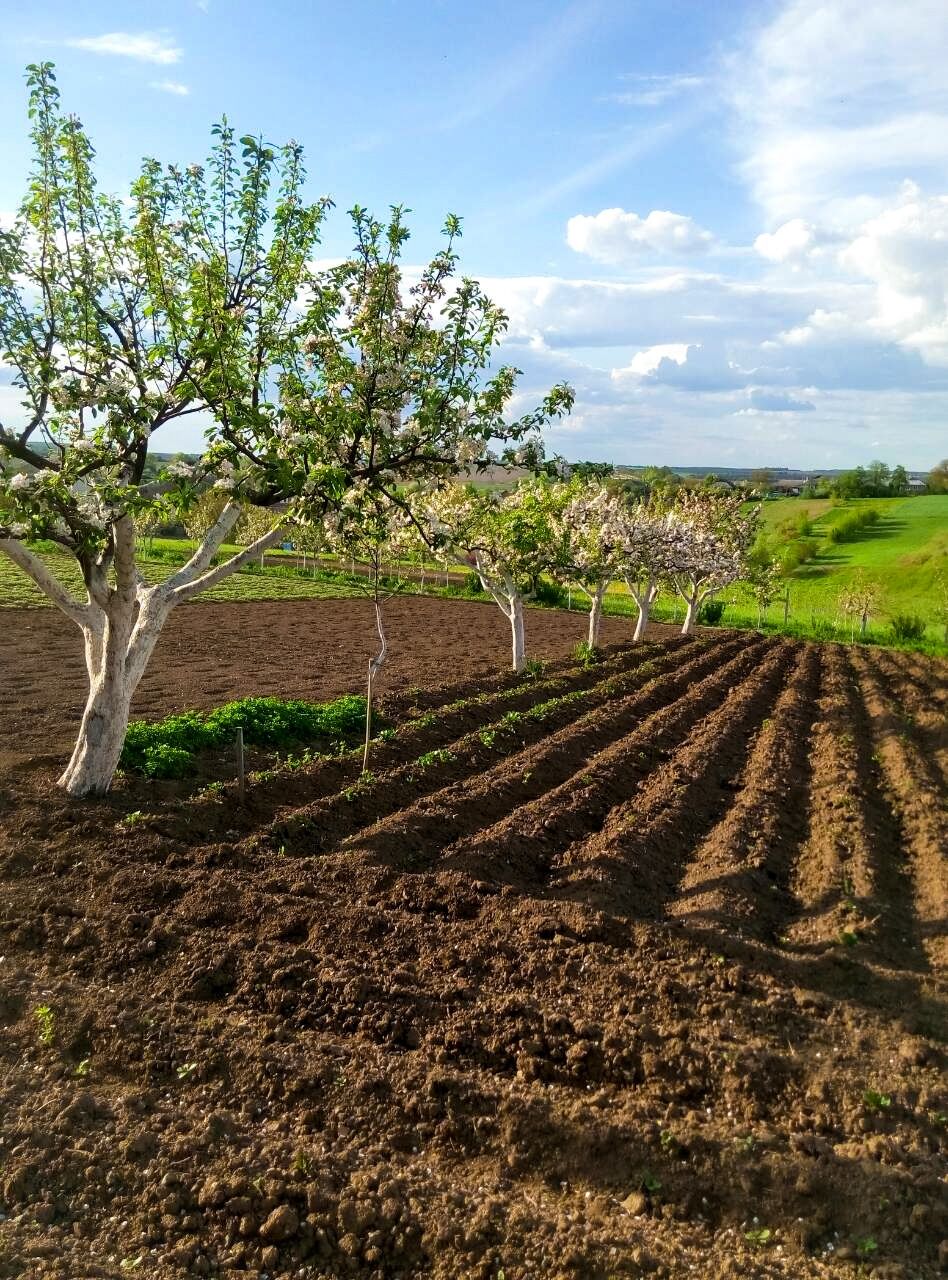 Продам будинок в смт Віньківці Хмельницької області,