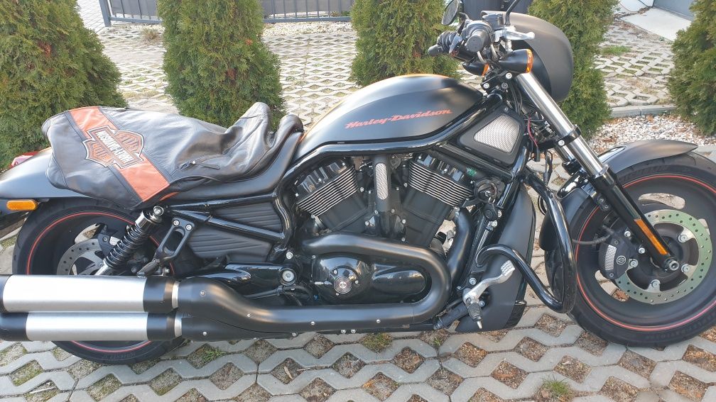 Sprzedam HD night-rod