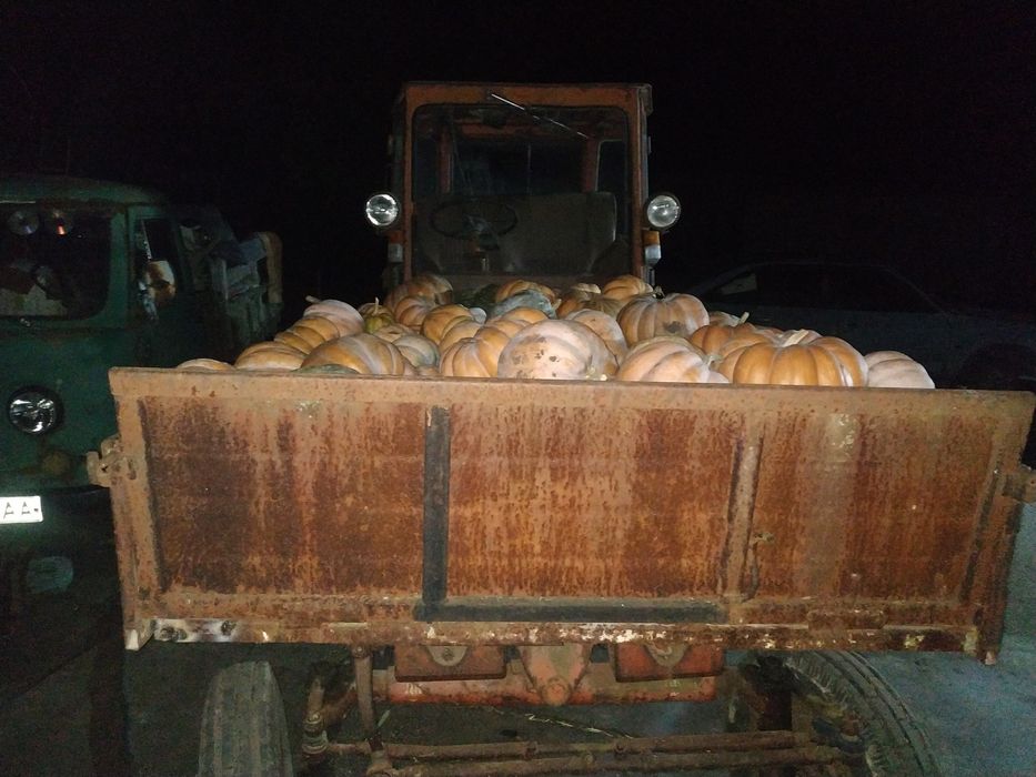 Трактор Т-16 на доках