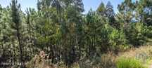 Terreno T1 em Troviscal de 4950,00 m2