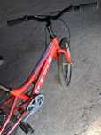 Bicicleta  como nona