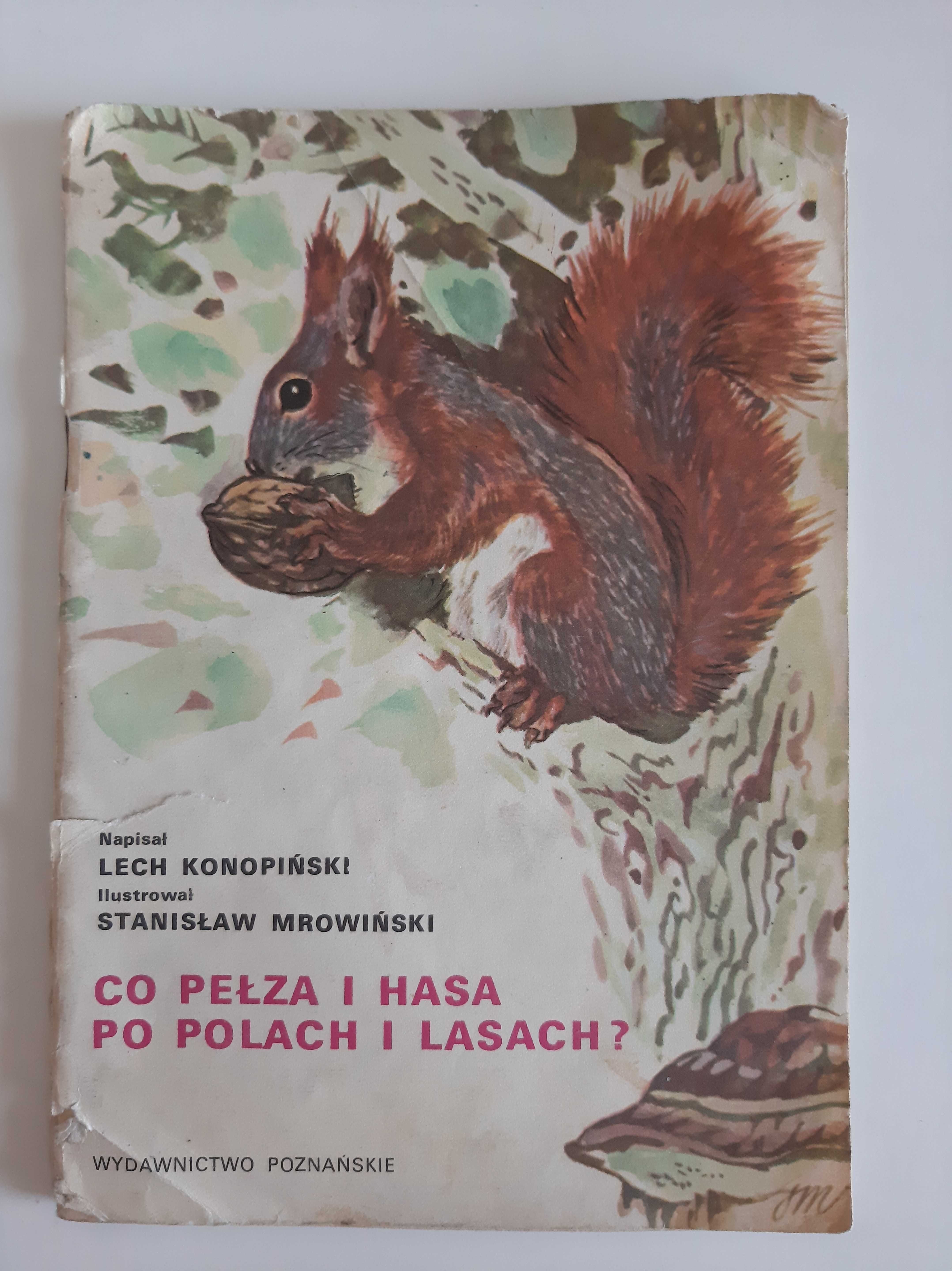Co pełza i hasa po polach i lasach? Lech Konopiński.