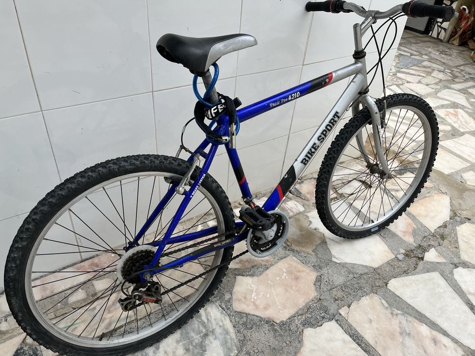 Bicicleta adulto