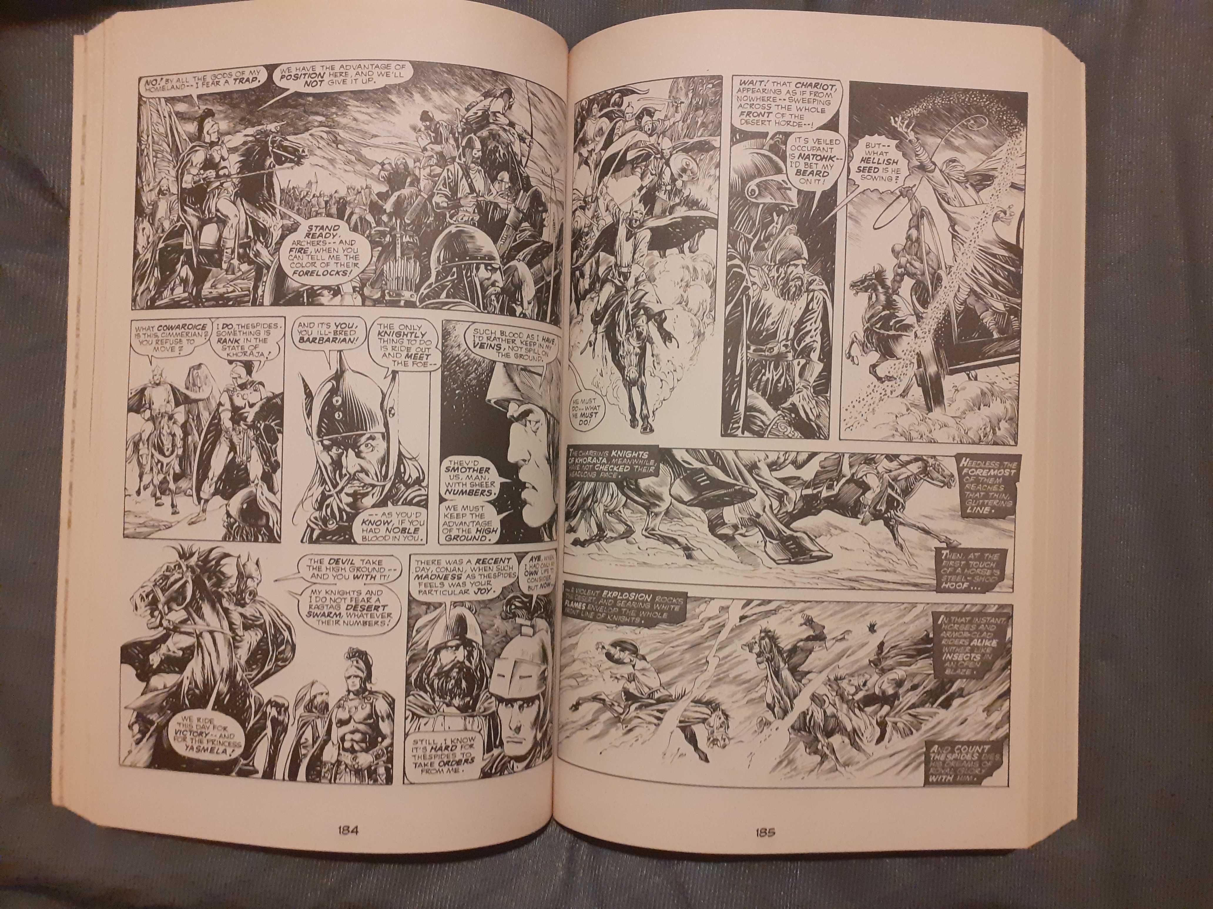 Conan savage sword