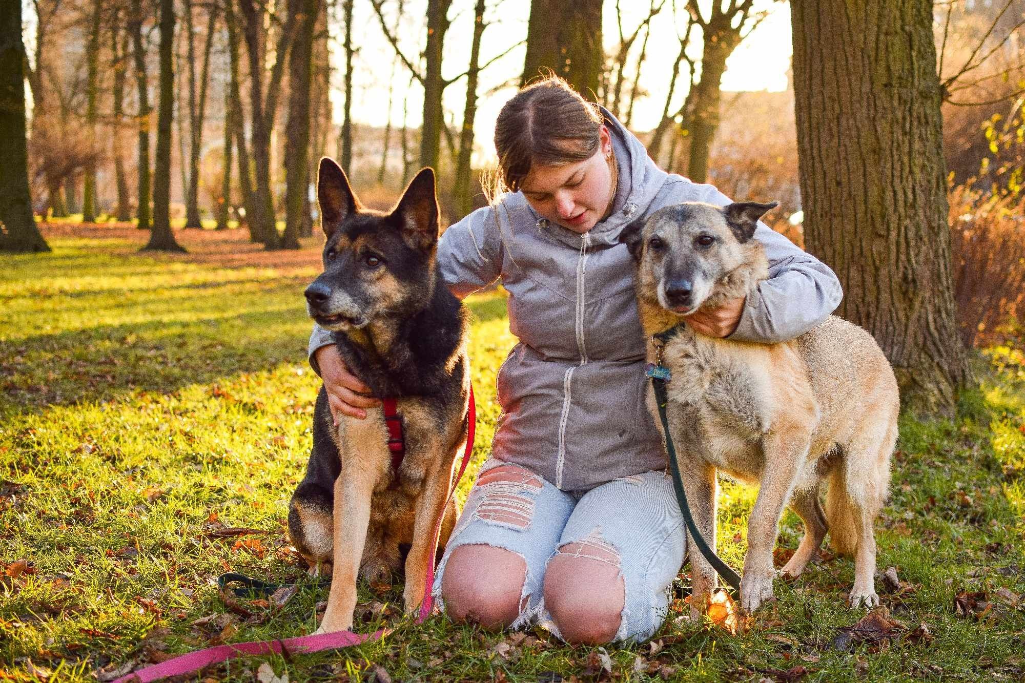 Kochana Sunia szuka Domku! Czy ktoś Ją pokocha!