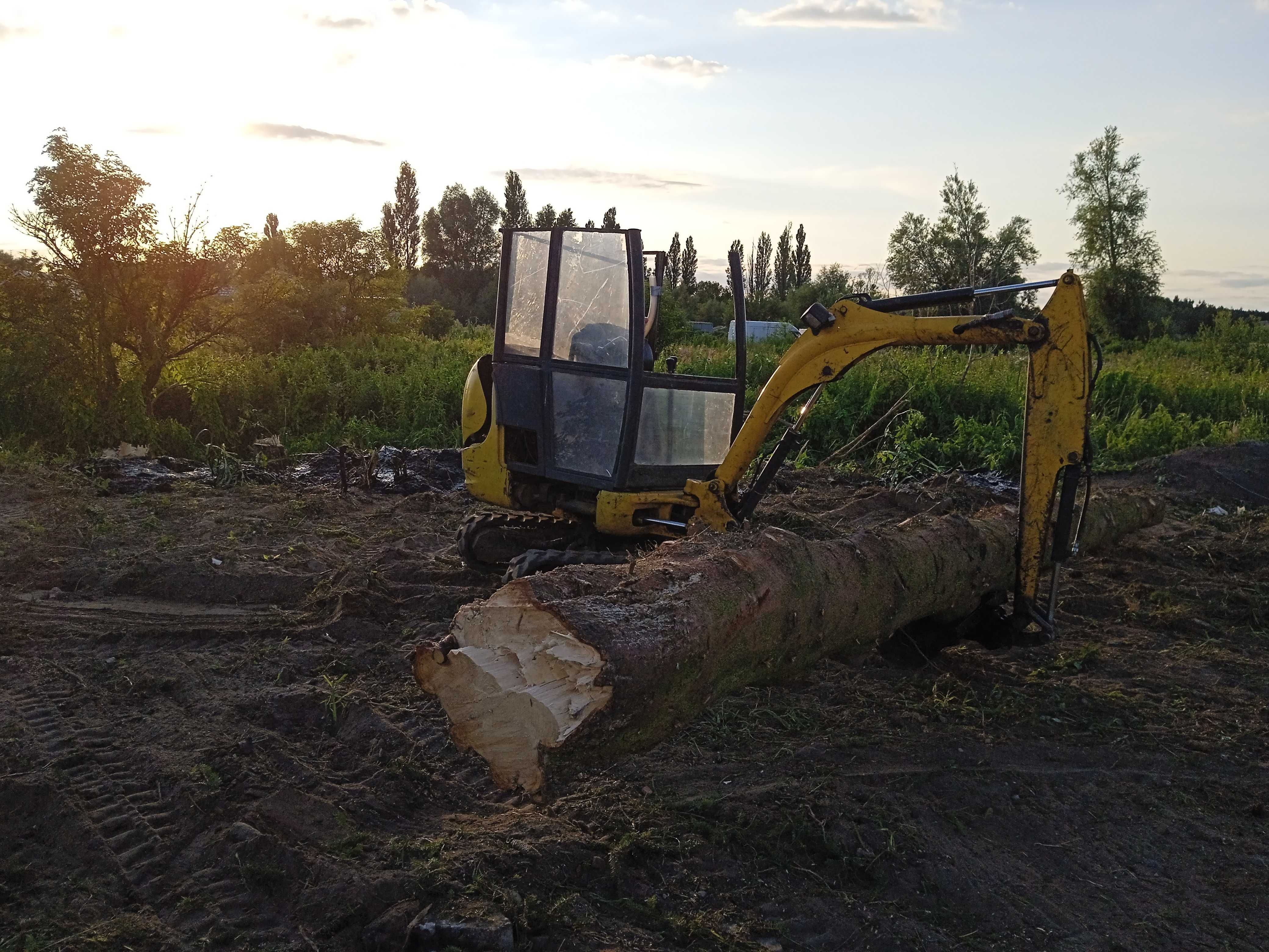 Wycinka drzew i krzewów niwelacja terenu usługi mini koparka rozbiórki