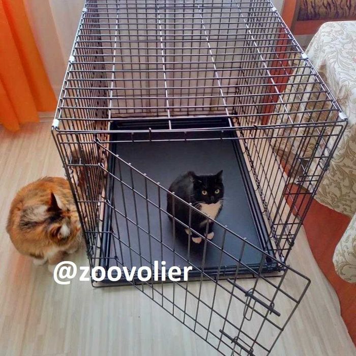 Клетка клітка вольер переноска домик место для собак кошек птиц. Киев