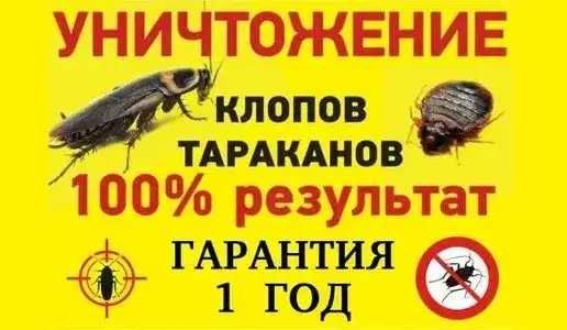 Уничтожение тараканов уничтожить клопов  знищення тарганiв клопiв