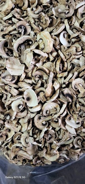 Pieczarka Suszona Plastry