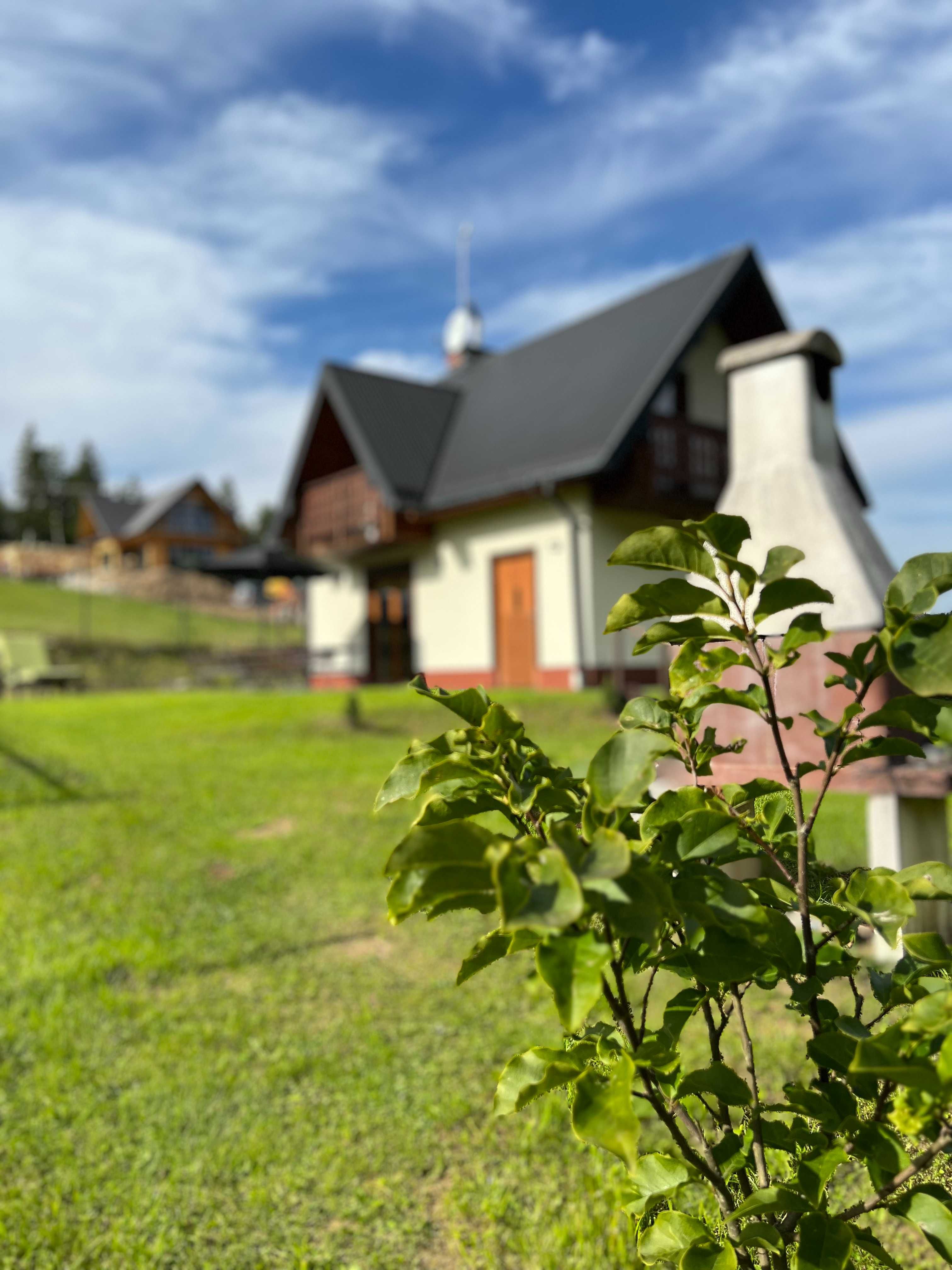 Przytulny domek w górach w okolicach Niedzicy - Leśny Zakątek