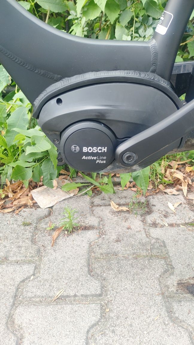 Gazelle elektryk system Bosch Like batavus koga sparta cube