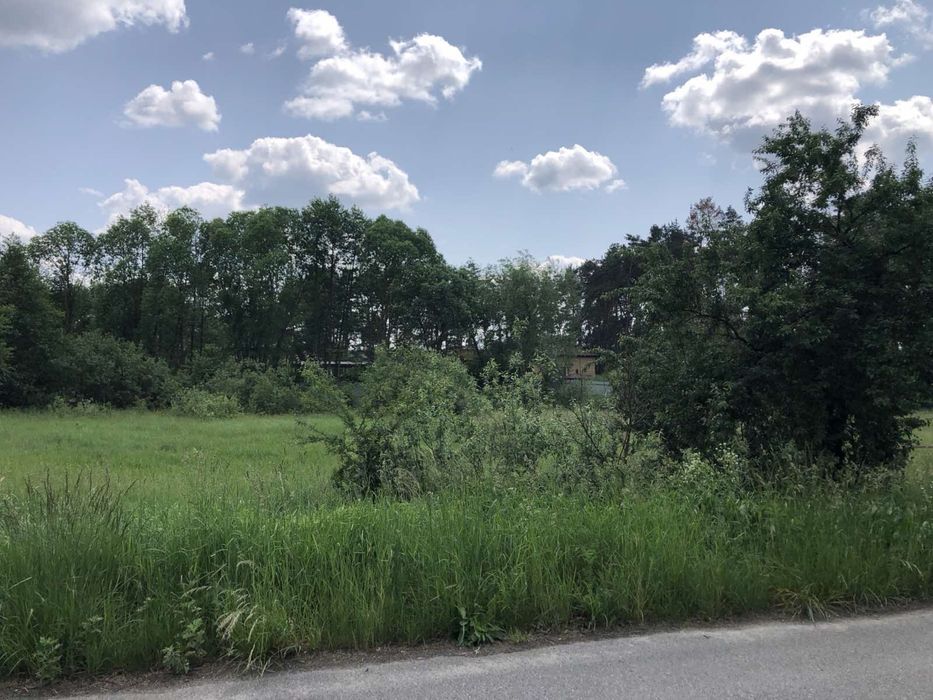 Продається ділянка під забудову в с. Новоселиця