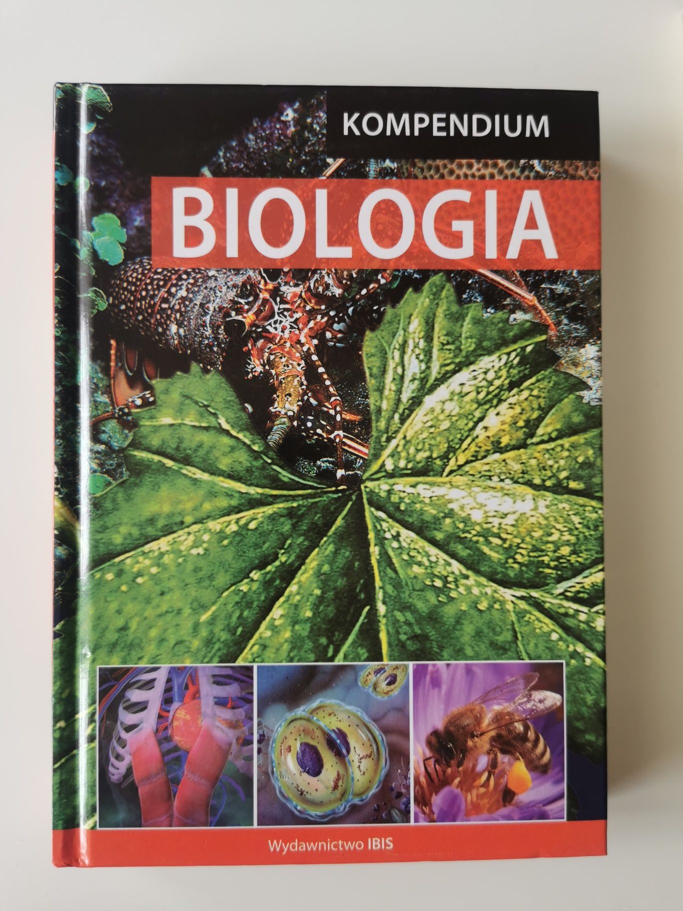 Biologia kompendium wiedzy. Stan idealny
