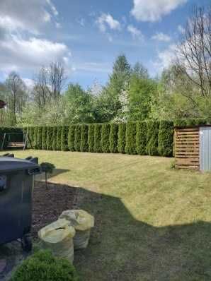 Prace ogrodowe/pielegnacja ogrodow