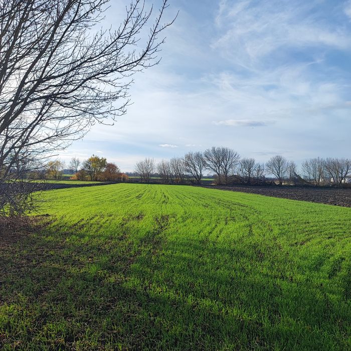 Продам будинок  із літньою кухнею та ділянкою 35 соток, Савинці.