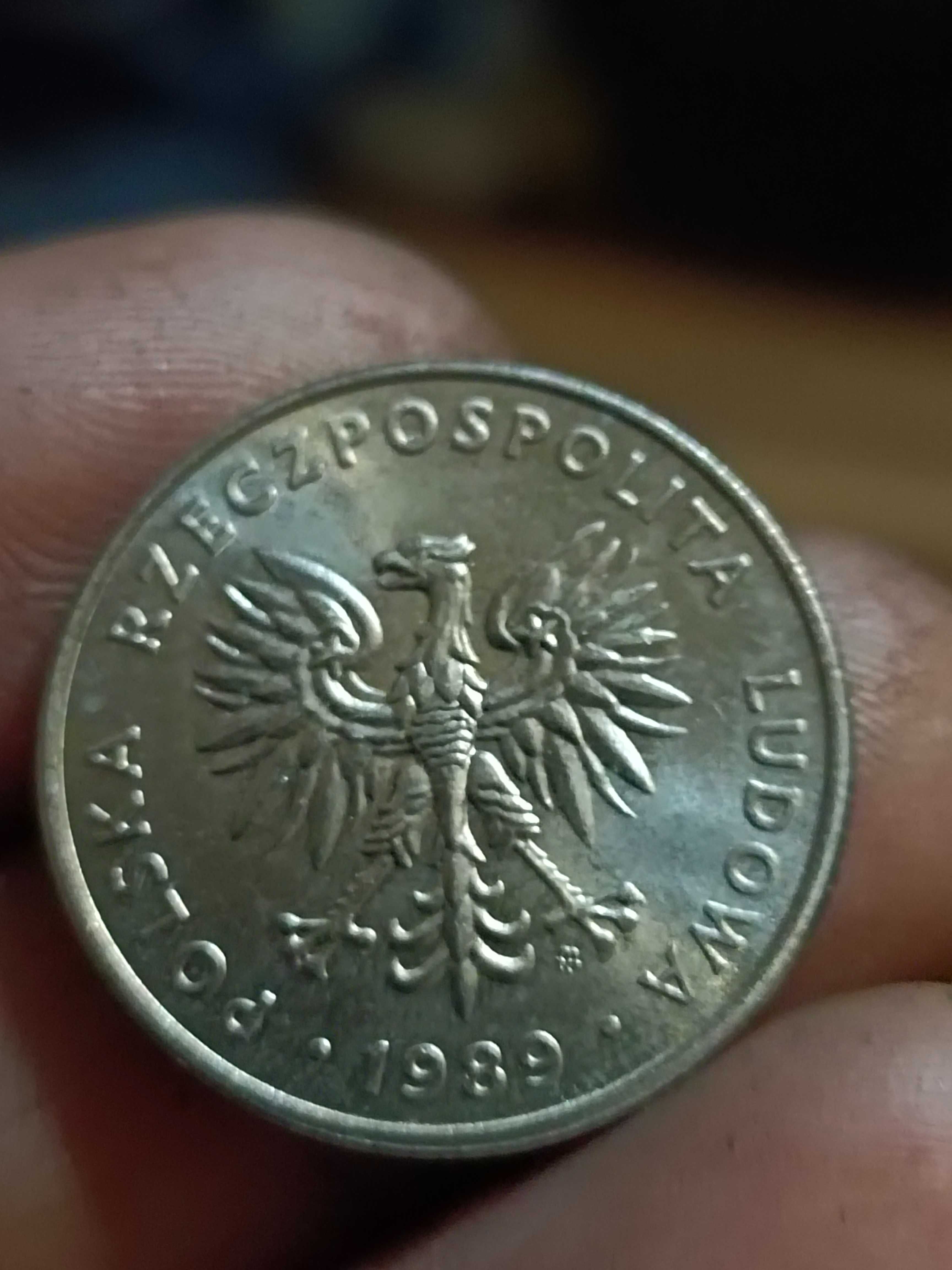 sprzedam monetę 20 zloty 1989 r ładnie zachowana