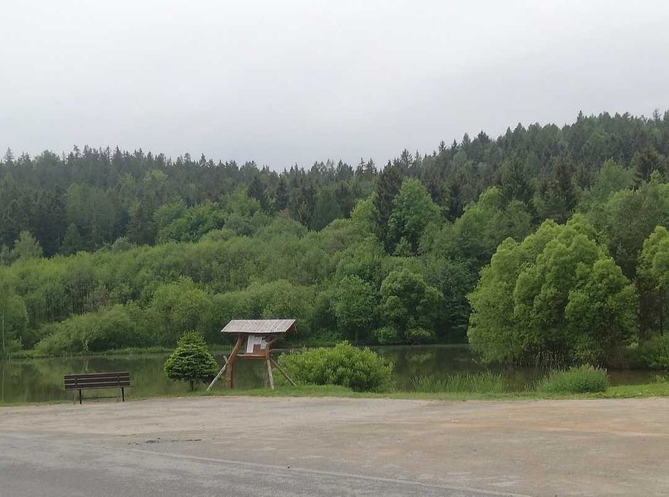 DOM z prywatnym LASEM na wyłączność, 2 pokoje. Noclegi Polanica