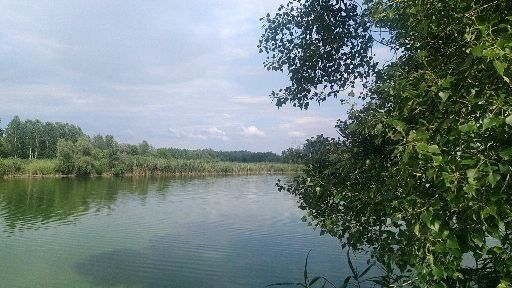 Организатор рыбалки на р Самара и Днепр