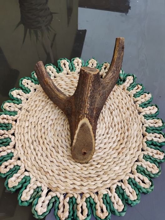 Mienic poroże jelenia wieszak