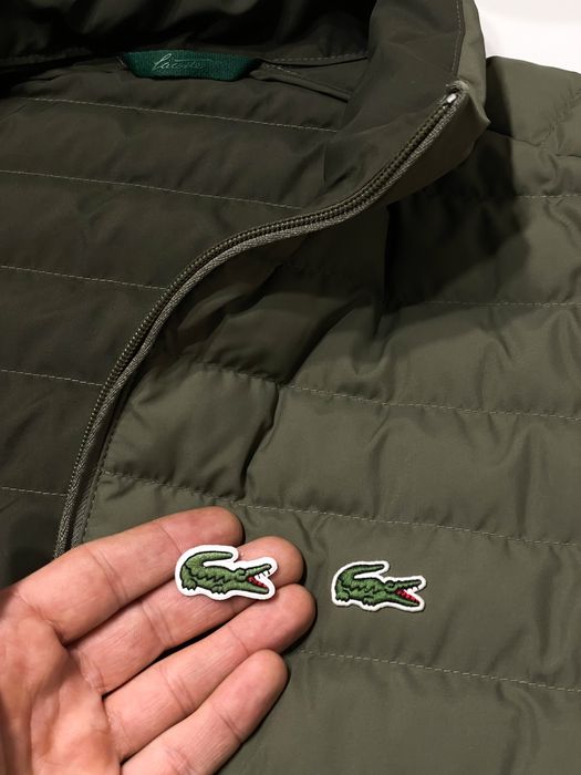 Naszywki Prasowanki krokodyl Lacoste 10 sztuk