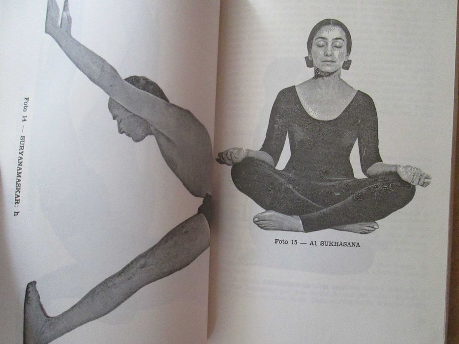 Autoperfeição com Hatha Yoga, de Hermógenes