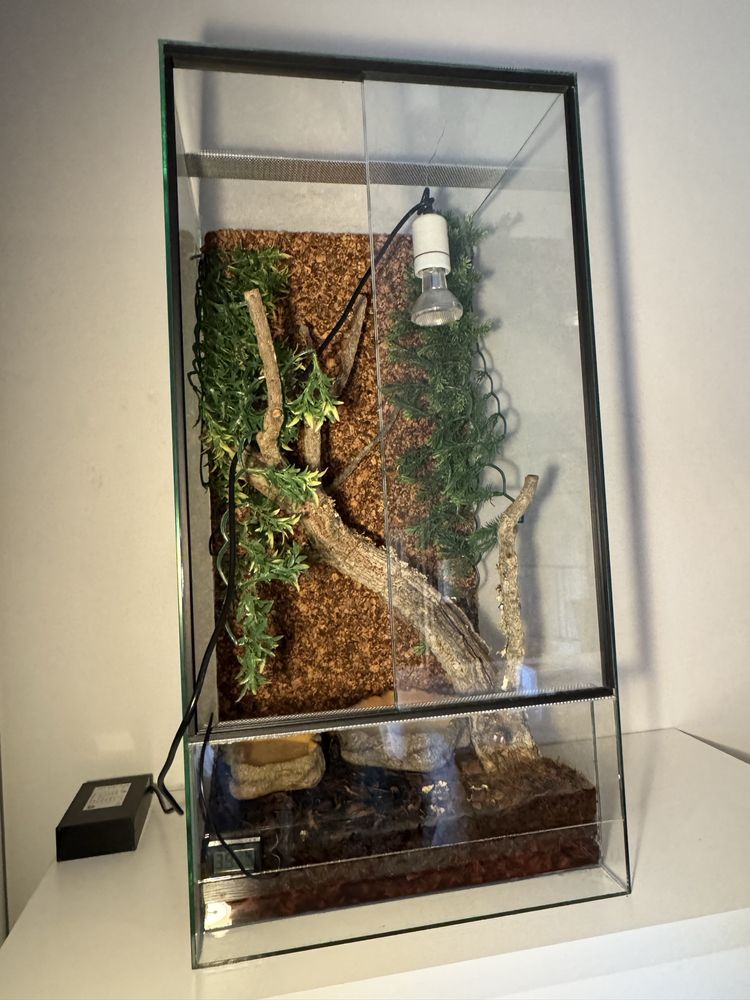 Sprzedam Terarium dla legwana bądź innego Gada