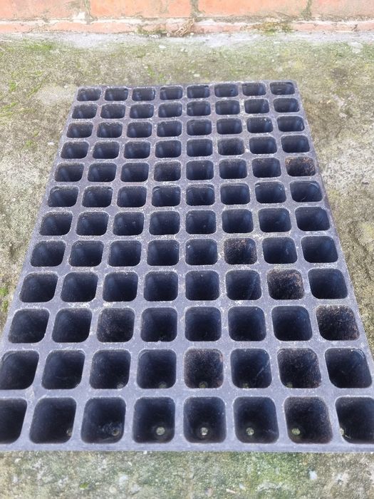 Tacki do wysiewu multiplat