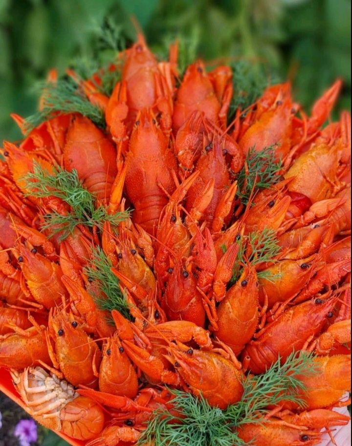РАКИ Средние Варёные Чесная Цена