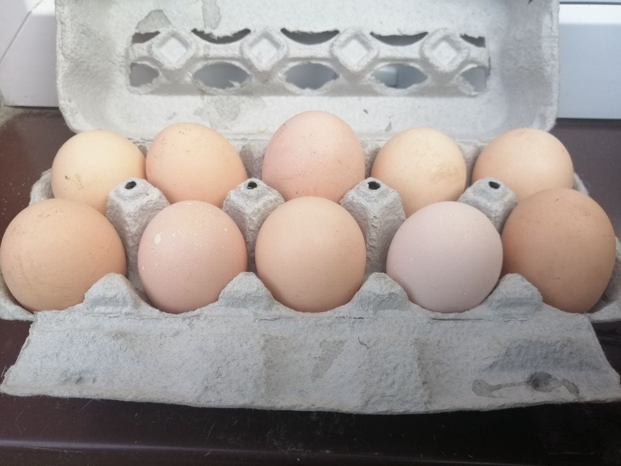 Świeże jajka jaja od kur z wolnego wybiegu prosto z gospodarstwa