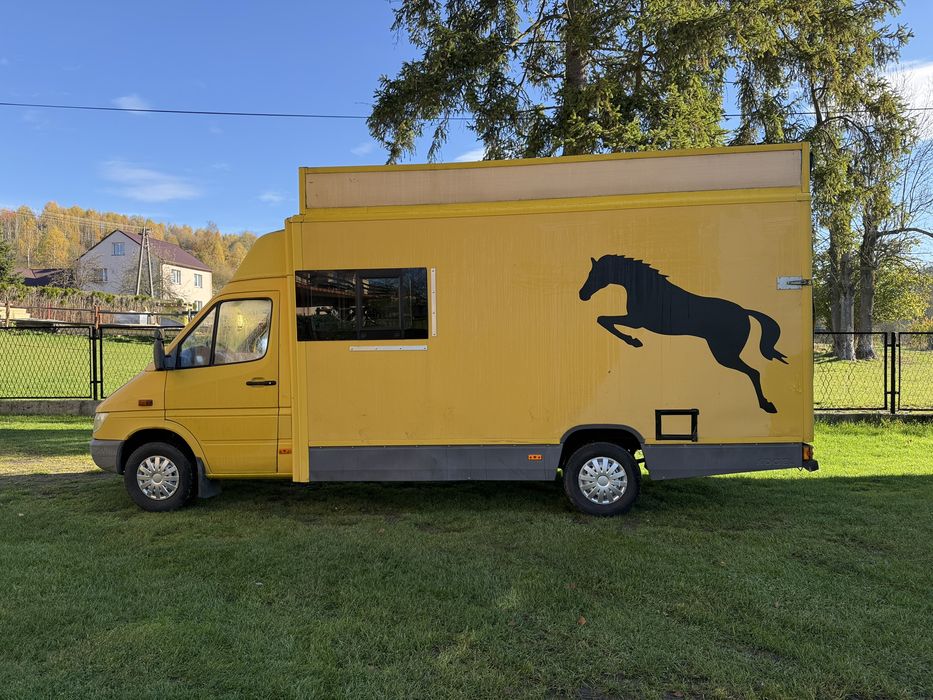 Koniowóz Mercedes Sprinter 308