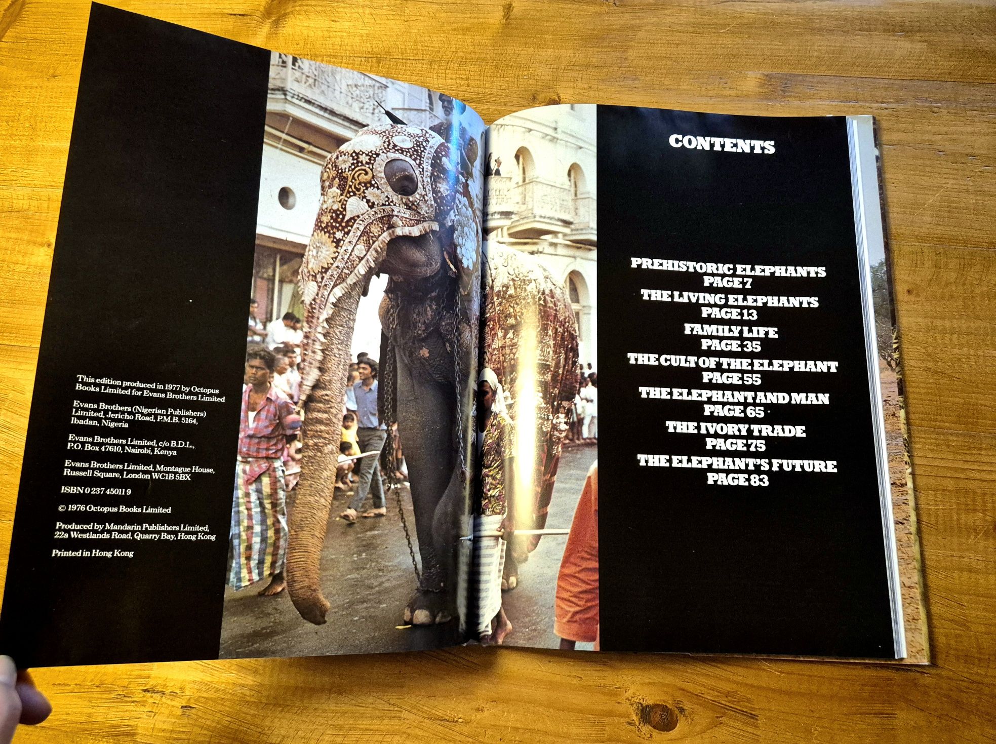 The Love Of Elephants - Neil Murray