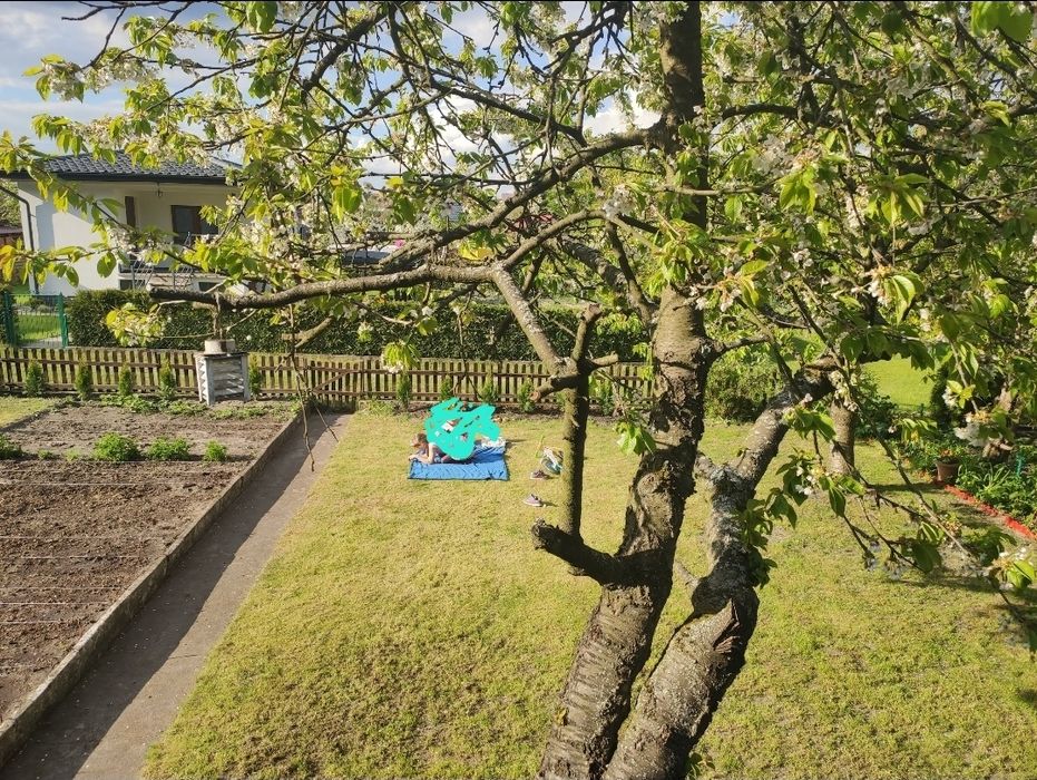 Działka ROD Las Jezioro Plaża