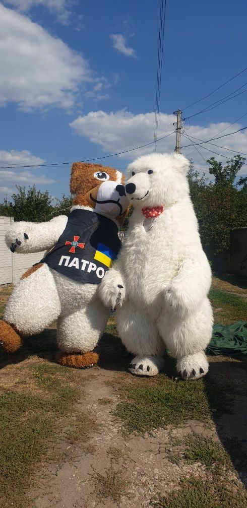 Мишка , пес патрон,  белый  медведь,  надувной  мишка, собака