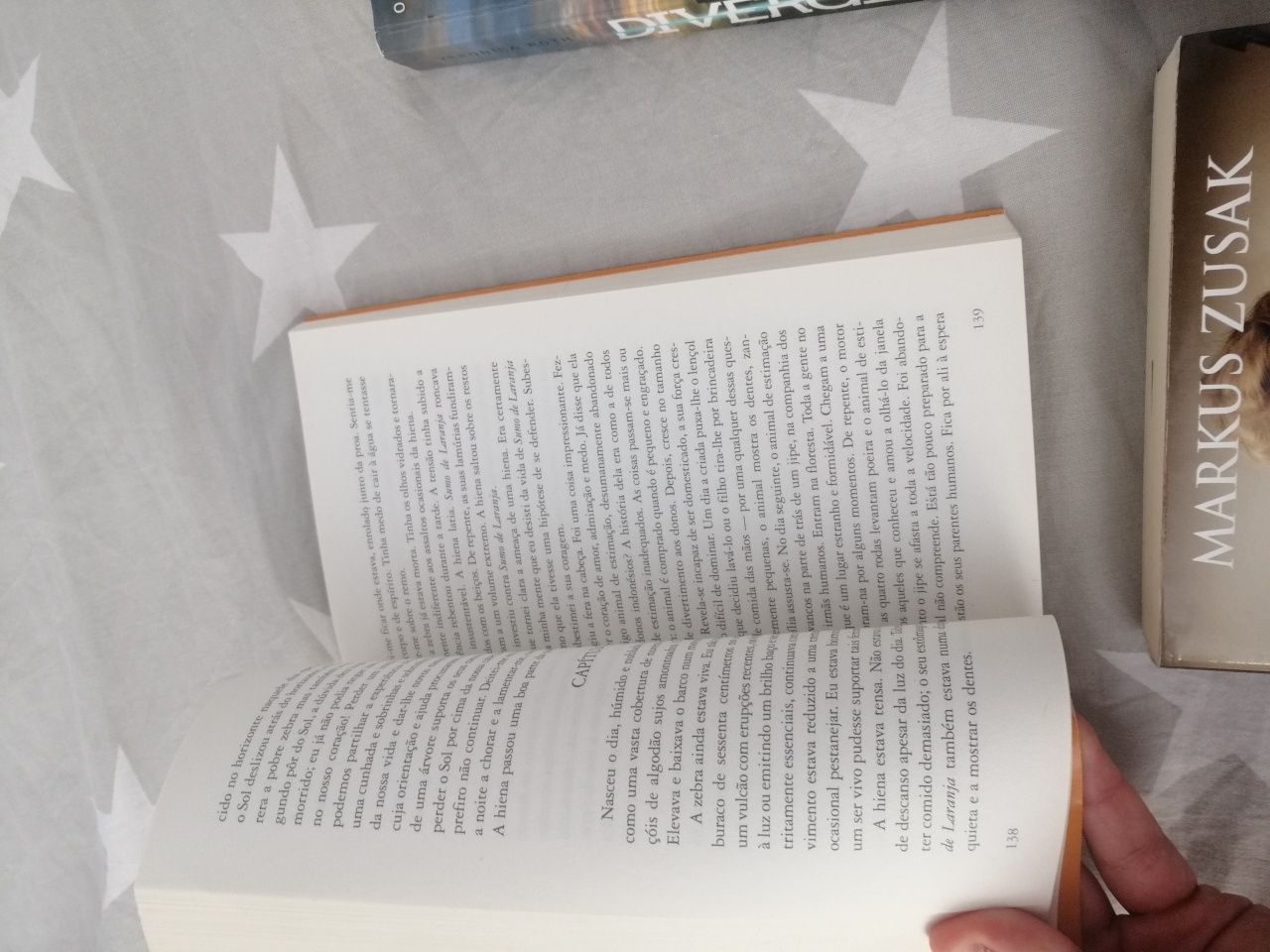 Livro: A Vida de Pi