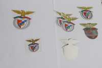 Símbolo do Benfica para roupa