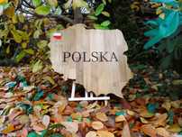 Deska do serwowania w kształcie Polski