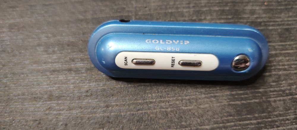 портативный FM-радиоприемник, модель Goldyip GL-856