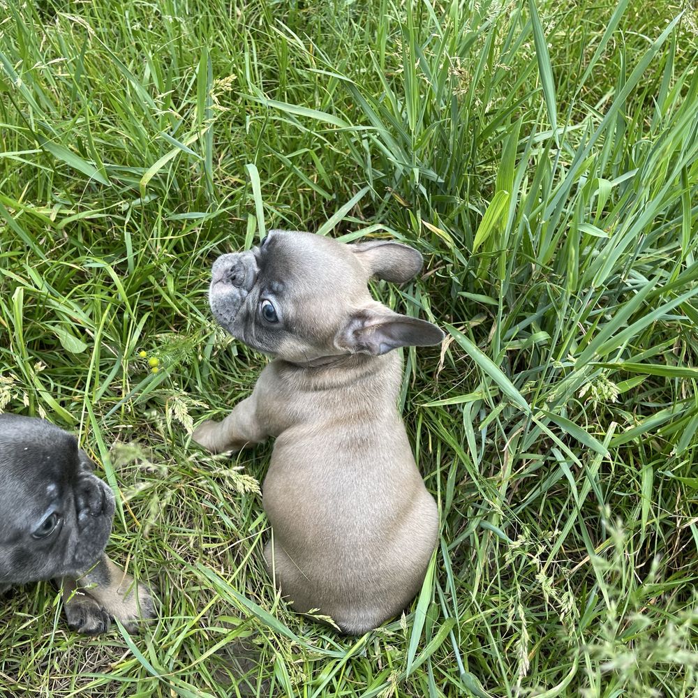 Гарний хлопчик 2 міс