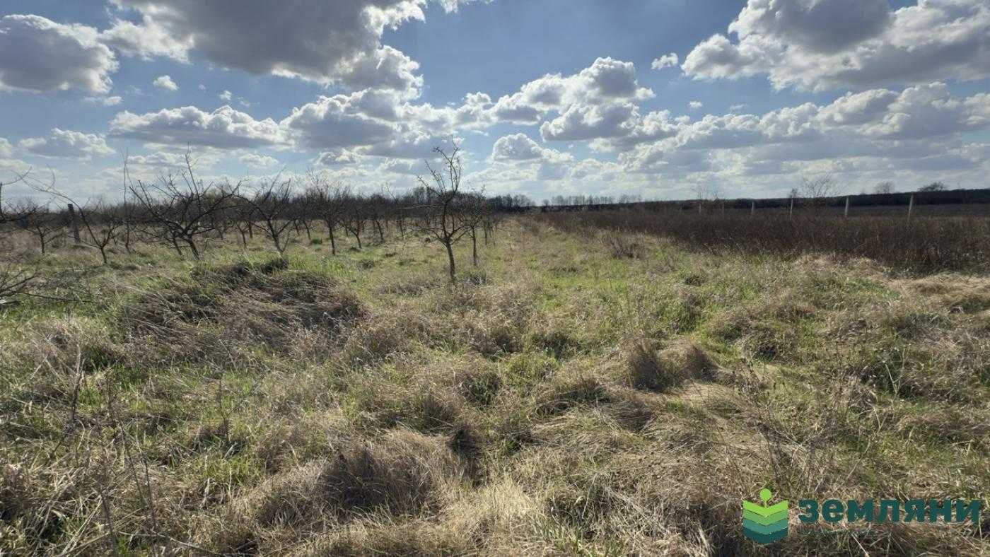 Продається земельний пай 1,4 га під сільське господарство в Тисмениці
