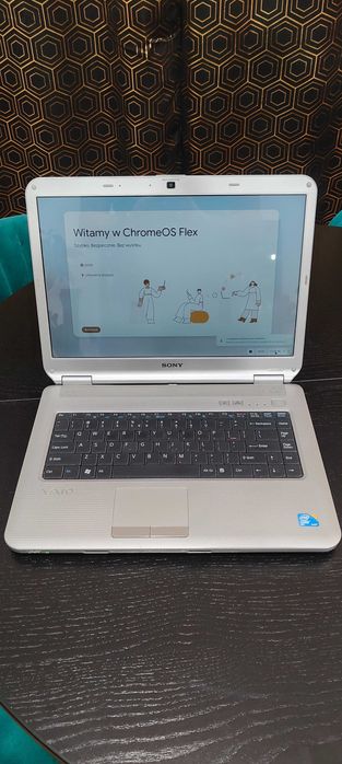 Sony VAIO vgn-NS31S